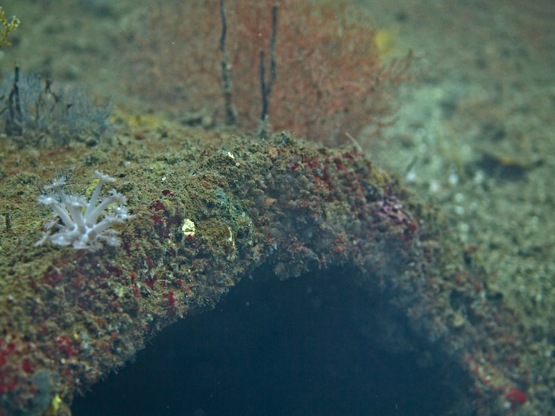 Wreck, New York Wreck